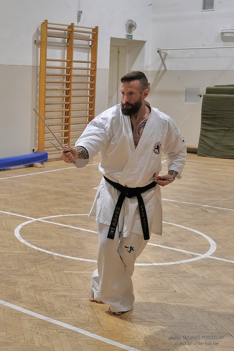 Inklusiver Ryukyu Kobudo Lehrgang mit Thomas Podzelny 6.Dan in Budapest 9.-11.2.2024