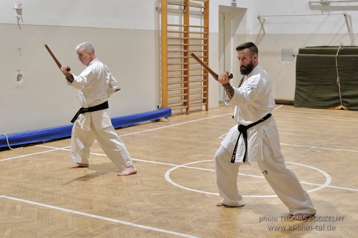 Inklusiver Ryukyu Kobudo Lehrgang mit Thomas Podzelny 6.Dan in Budapest 9.-11.2.2024