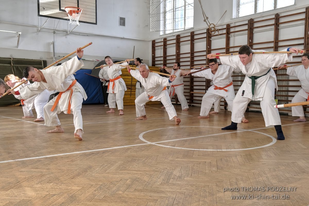 Inklusiver Ryukyu Kobudo Lehrgang mit Thomas Podzelny 6.Dan in Budapest 9.-11.2.2024