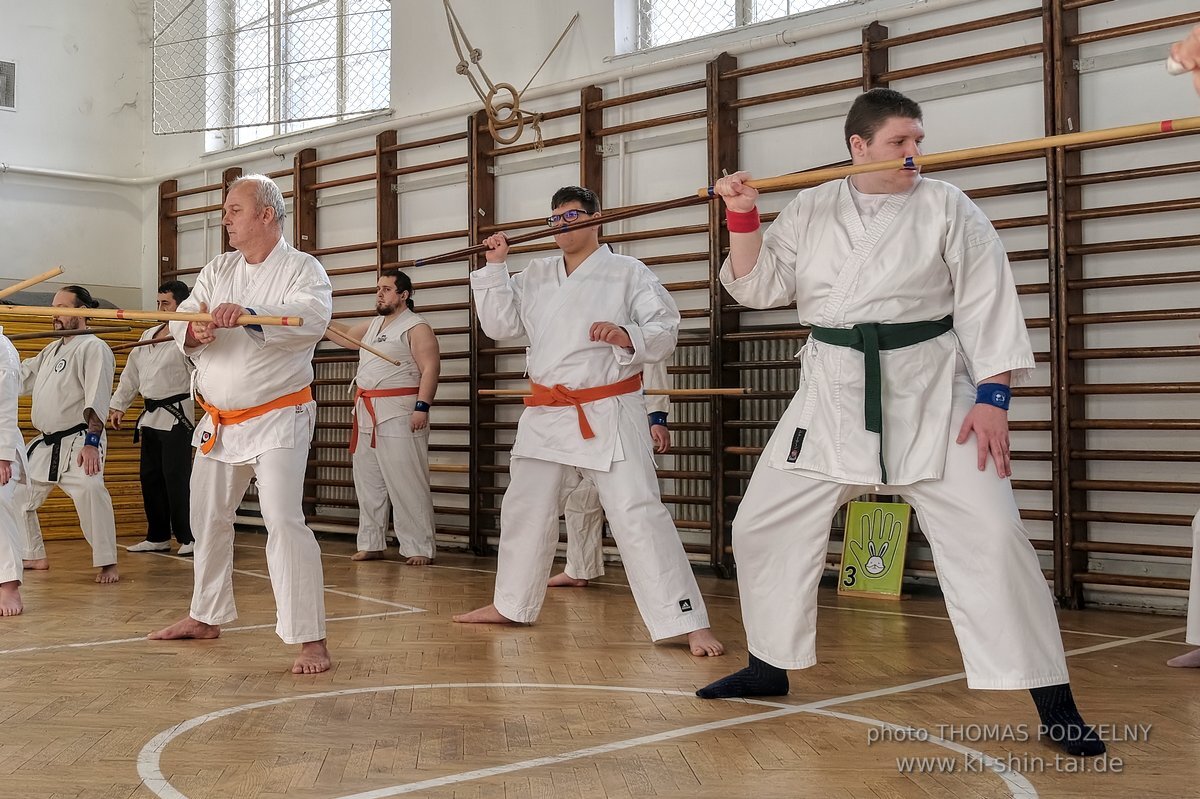 Inklusiver Ryukyu Kobudo Lehrgang mit Thomas Podzelny 6.Dan in Budapest 9.-11.2.2024