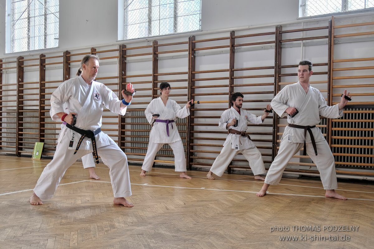 Inklusiver Ryukyu Kobudo Lehrgang mit Thomas Podzelny 6.Dan in Budapest 9.-11.2.2024