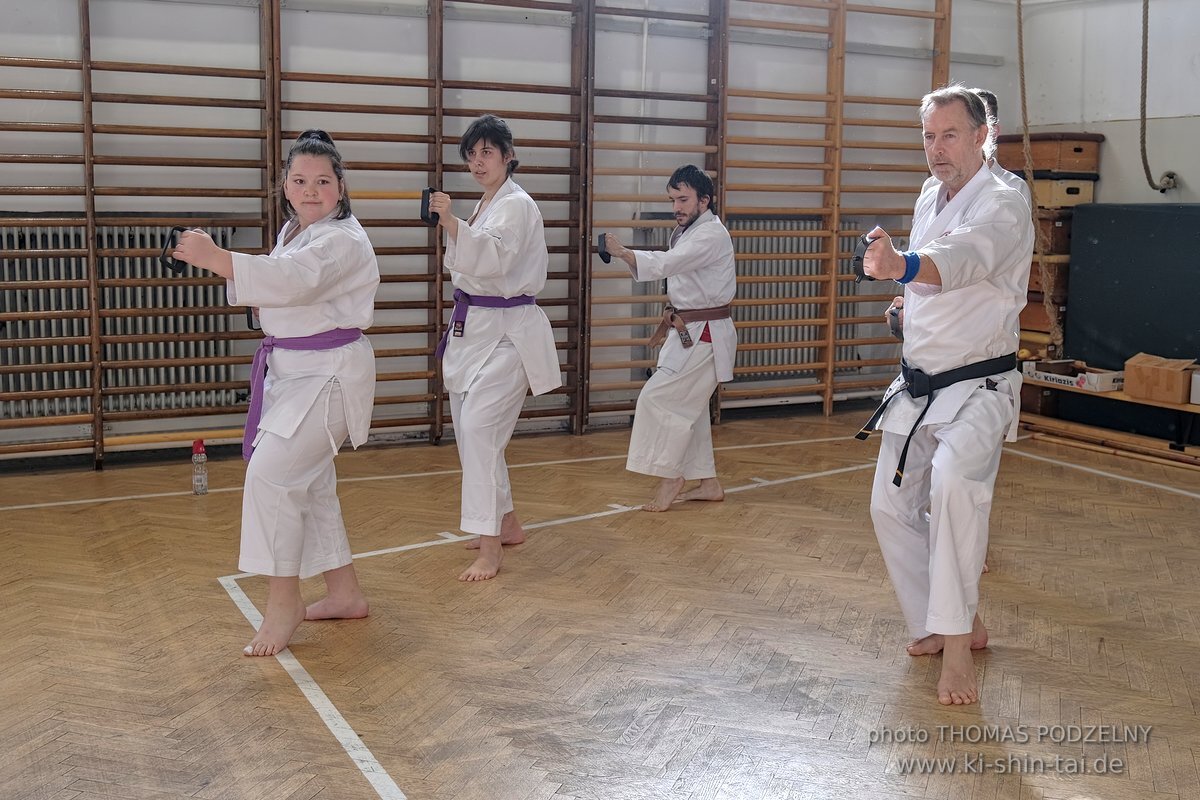 Inklusiver Ryukyu Kobudo Lehrgang mit Thomas Podzelny 6.Dan in Budapest 9.-11.2.2024