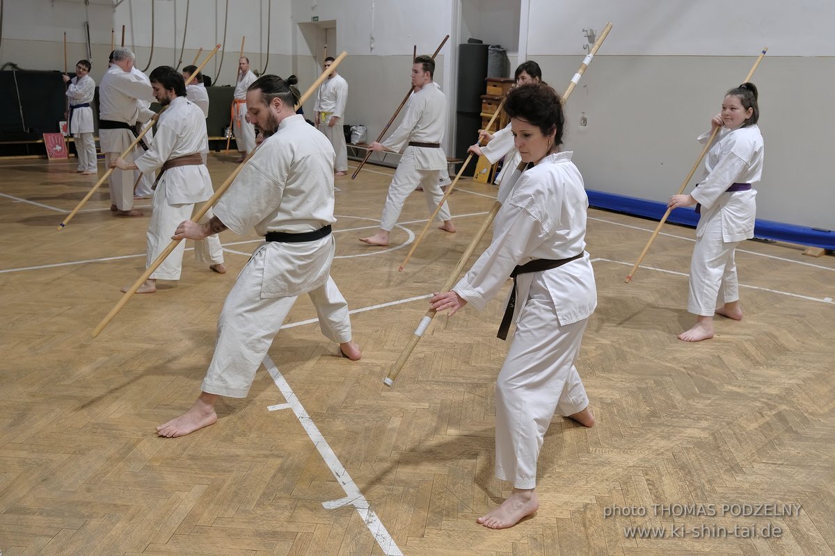 Inklusiver Ryukyu Kobudo Lehrgang mit Thomas Podzelny 6.Dan in Budapest 9.-11.2.2024