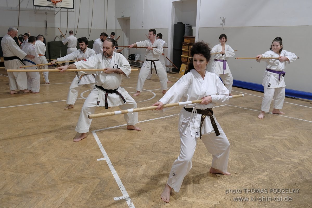 Inklusiver Ryukyu Kobudo Lehrgang mit Thomas Podzelny 6.Dan in Budapest 9.-11.2.2024