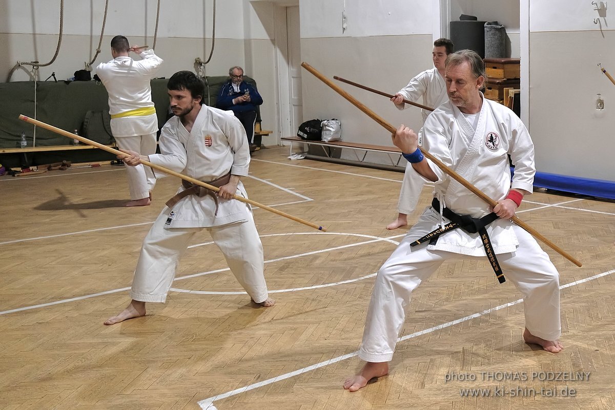 Inklusiver Ryukyu Kobudo Lehrgang mit Thomas Podzelny 6.Dan in Budapest 9.-11.2.2024