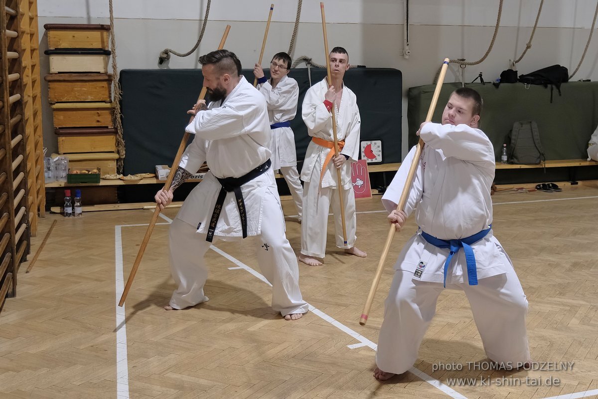 Inklusiver Ryukyu Kobudo Lehrgang mit Thomas Podzelny 6.Dan in Budapest 9.-11.2.2024