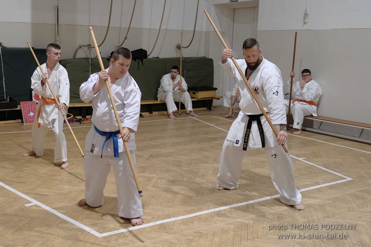 Inklusiver Ryukyu Kobudo Lehrgang mit Thomas Podzelny 6.Dan in Budapest 9.-11.2.2024