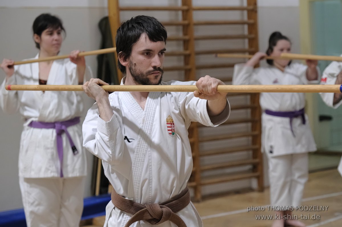 Inklusiver Ryukyu Kobudo Lehrgang mit Thomas Podzelny 6.Dan in Budapest 9.-11.2.2024