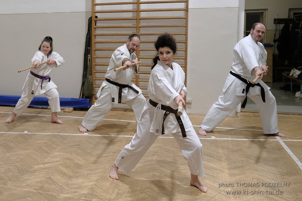 Inklusiver Ryukyu Kobudo Lehrgang mit Thomas Podzelny 6.Dan in Budapest 9.-11.2.2024