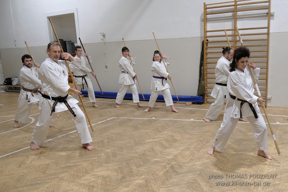 Inklusiver Ryukyu Kobudo Lehrgang mit Thomas Podzelny 6.Dan in Budapest 9.-11.2.2024