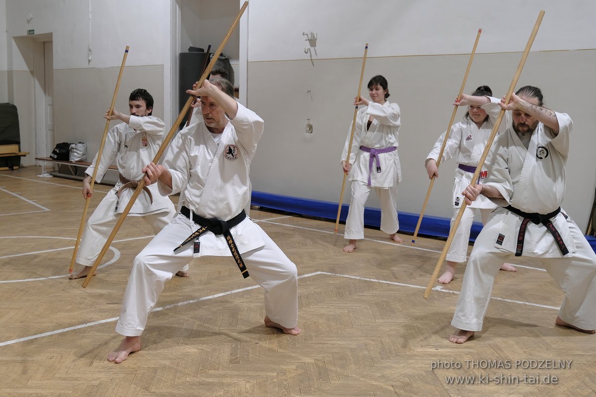 Inklusiver Ryukyu Kobudo Lehrgang mit Thomas Podzelny 6.Dan in Budapest 9.-11.2.2024