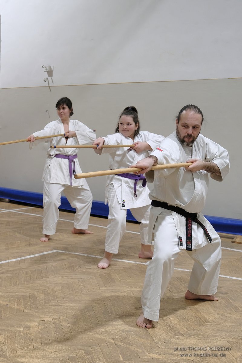 Inklusiver Ryukyu Kobudo Lehrgang mit Thomas Podzelny 6.Dan in Budapest 9.-11.2.2024