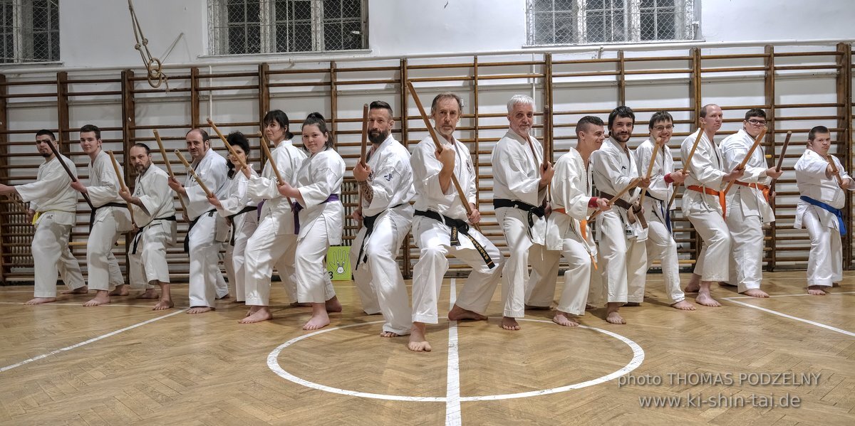 Inklusiver Ryukyu Kobudo Lehrgang mit Thomas Podzelny 6.Dan in Budapest 9.-11.2.2024