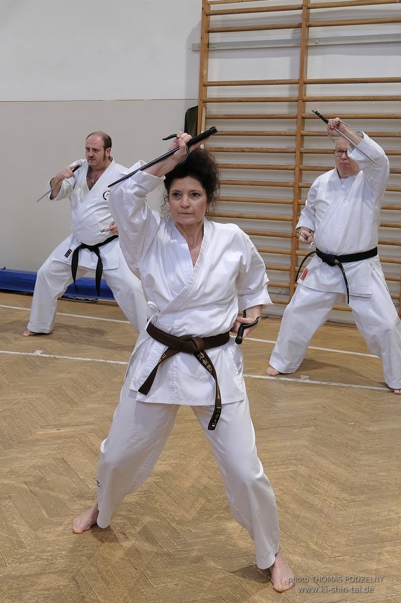 Inklusiver Ryukyu Kobudo Lehrgang mit Thomas Podzelny 6.Dan in Budapest 9.-11.2.2024