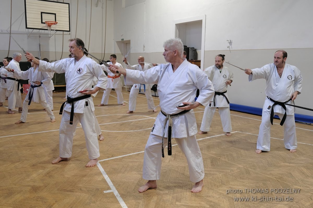 Inklusiver Ryukyu Kobudo Lehrgang mit Thomas Podzelny 6.Dan in Budapest 9.-11.2.2024