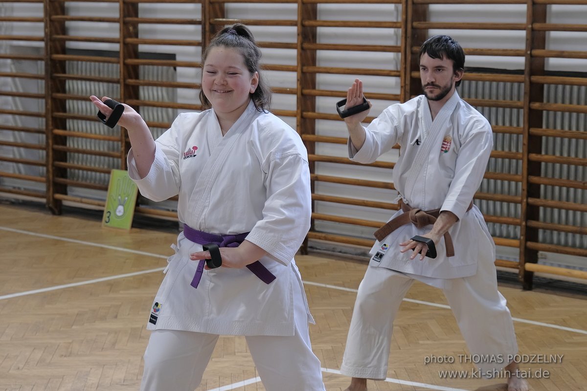 Inklusiver Ryukyu Kobudo Lehrgang mit Thomas Podzelny 6.Dan in Budapest 9.-11.2.2024