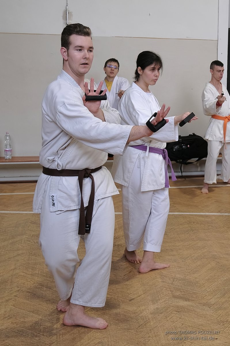 Inklusiver Ryukyu Kobudo Lehrgang mit Thomas Podzelny 6.Dan in Budapest 9.-11.2.2024