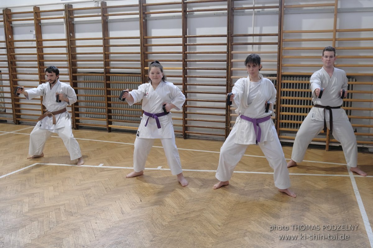 Inklusiver Ryukyu Kobudo Lehrgang mit Thomas Podzelny 6.Dan in Budapest 9.-11.2.2024