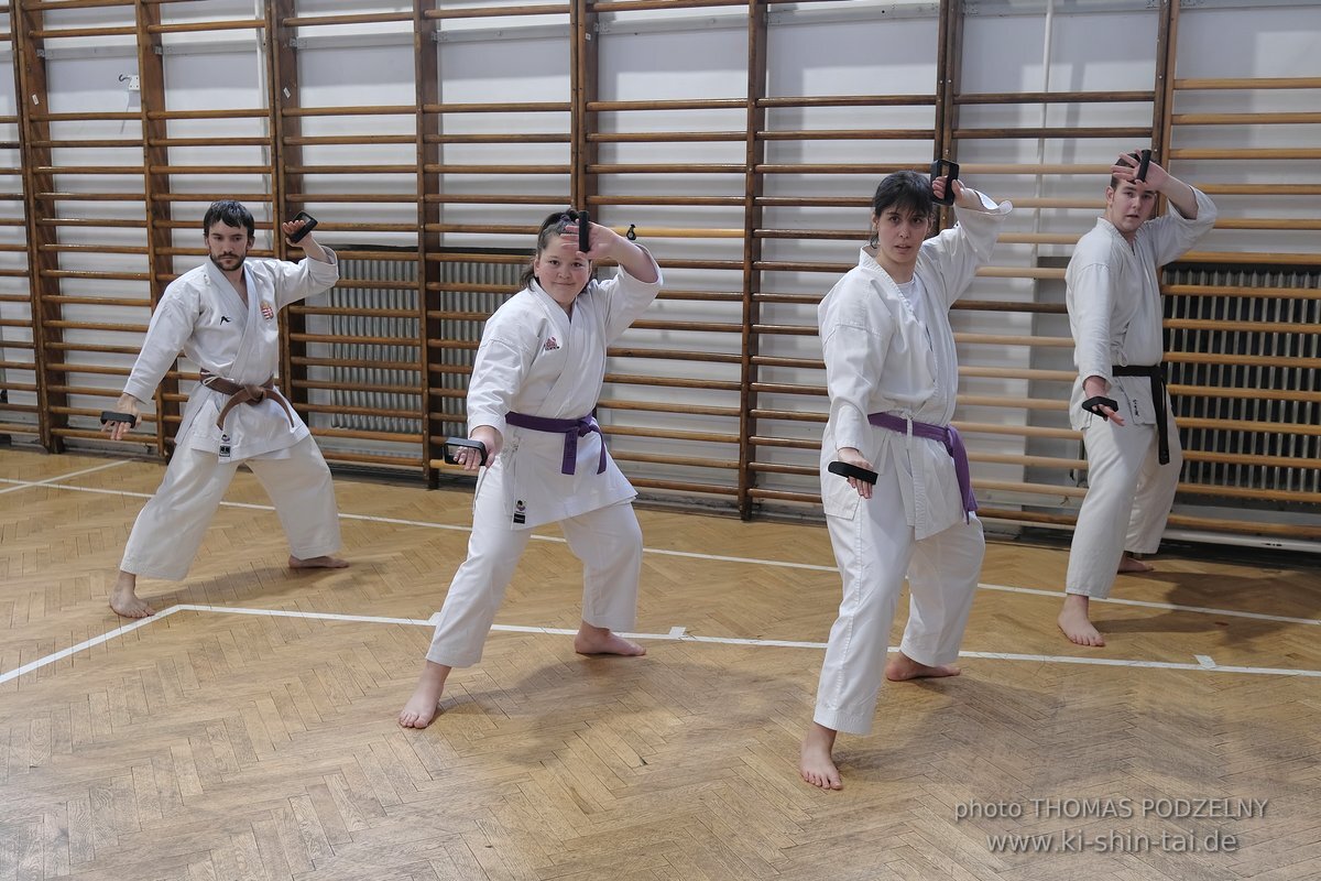 Inklusiver Ryukyu Kobudo Lehrgang mit Thomas Podzelny 6.Dan in Budapest 9.-11.2.2024