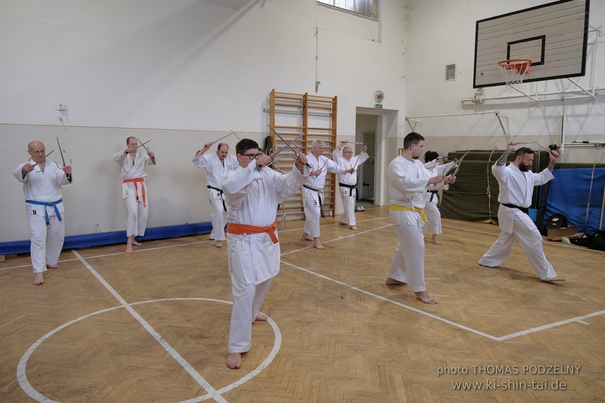 Inklusiver Ryukyu Kobudo Lehrgang mit Thomas Podzelny 6.Dan in Budapest 9.-11.2.2024