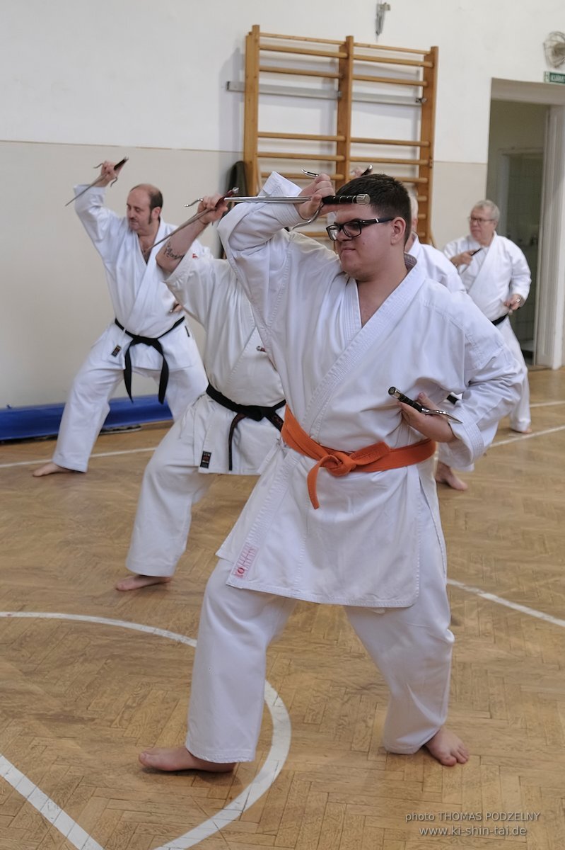 Inklusiver Ryukyu Kobudo Lehrgang mit Thomas Podzelny 6.Dan in Budapest 9.-11.2.2024