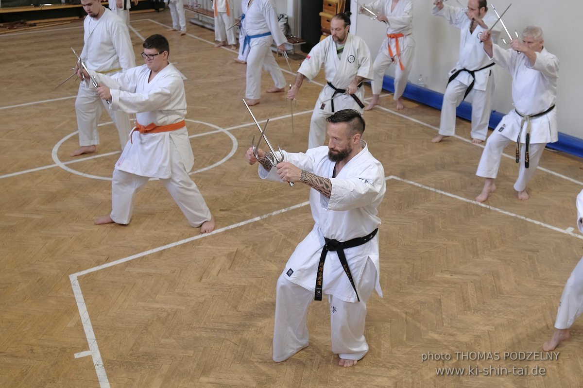 Inklusiver Ryukyu Kobudo Lehrgang mit Thomas Podzelny 6.Dan in Budapest 9.-11.2.2024