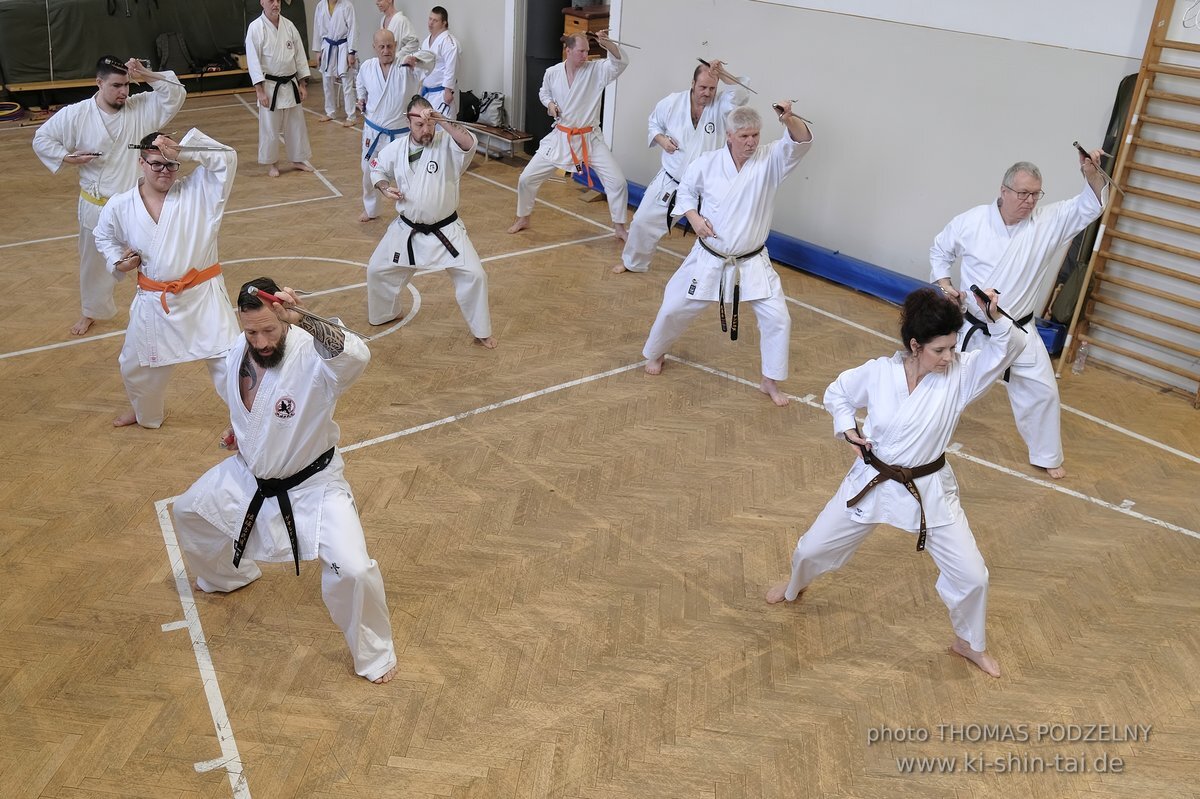 Inklusiver Ryukyu Kobudo Lehrgang mit Thomas Podzelny 6.Dan in Budapest 9.-11.2.2024