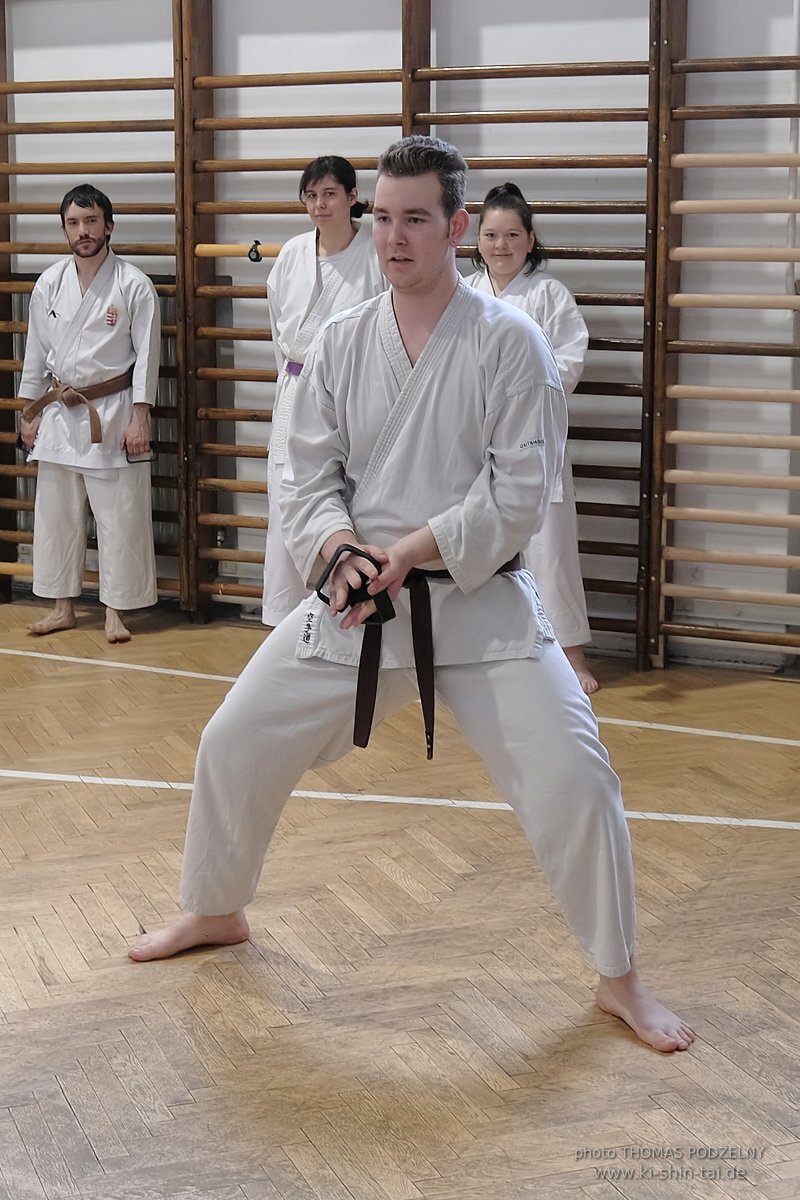 Inklusiver Ryukyu Kobudo Lehrgang mit Thomas Podzelny 6.Dan in Budapest 9.-11.2.2024