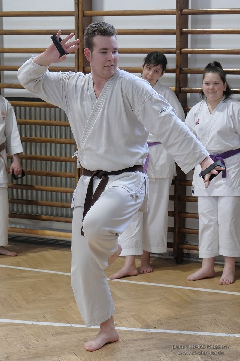 Inklusiver Ryukyu Kobudo Lehrgang mit Thomas Podzelny 6.Dan in Budapest 9.-11.2.2024