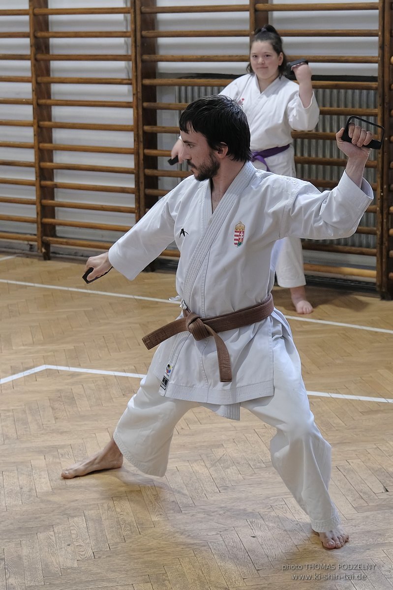 Inklusiver Ryukyu Kobudo Lehrgang mit Thomas Podzelny 6.Dan in Budapest 9.-11.2.2024