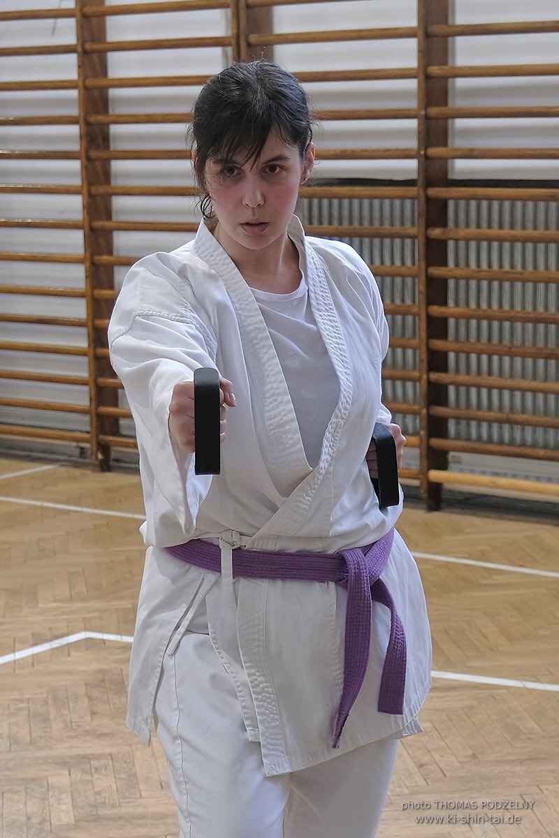 Inklusiver Ryukyu Kobudo Lehrgang mit Thomas Podzelny 6.Dan in Budapest 9.-11.2.2024