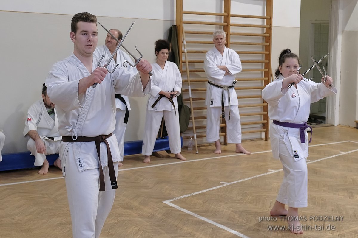 Inklusiver Ryukyu Kobudo Lehrgang mit Thomas Podzelny 6.Dan in Budapest 9.-11.2.2024