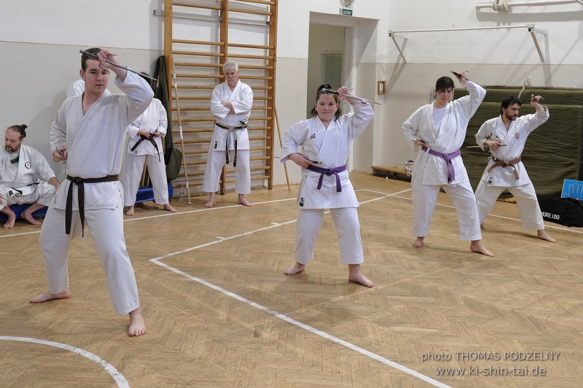 Inklusiver Ryukyu Kobudo Lehrgang mit Thomas Podzelny 6.Dan in Budapest 9.-11.2.2024