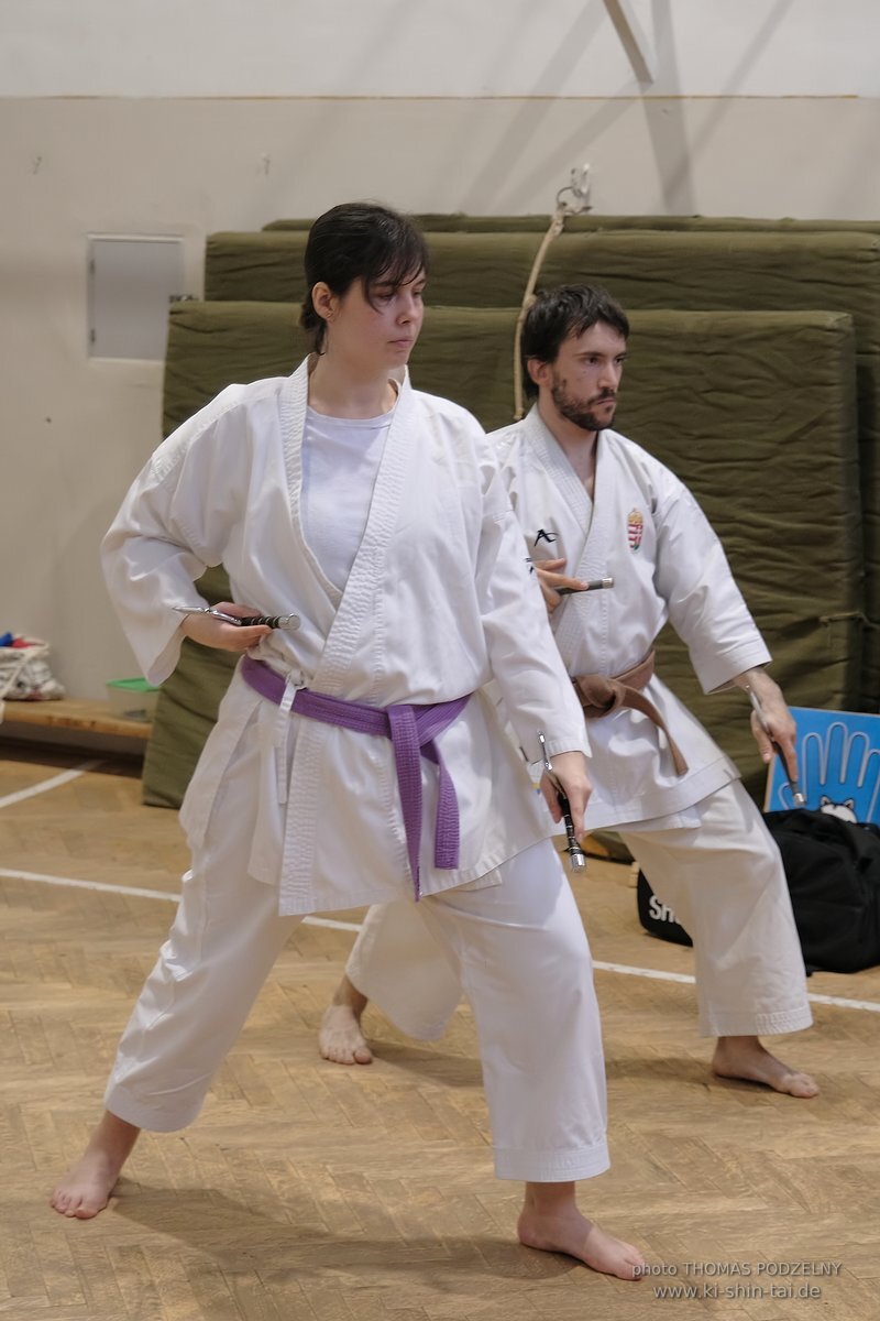 Inklusiver Ryukyu Kobudo Lehrgang mit Thomas Podzelny 6.Dan in Budapest 9.-11.2.2024