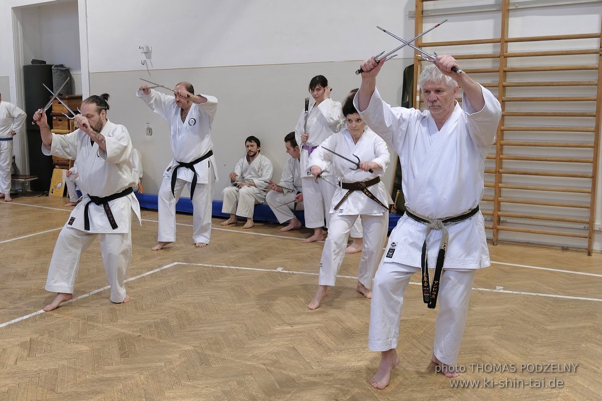 Inklusiver Ryukyu Kobudo Lehrgang mit Thomas Podzelny 6.Dan in Budapest 9.-11.2.2024