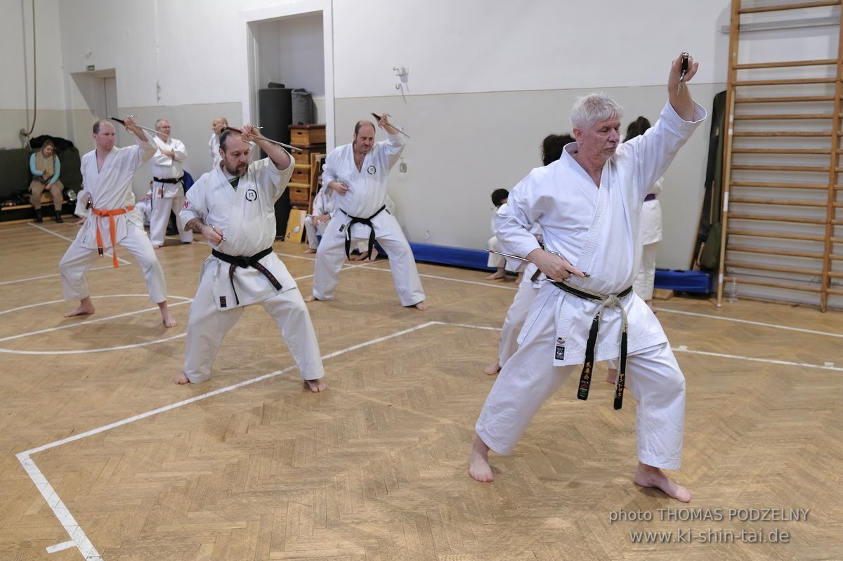 Inklusiver Ryukyu Kobudo Lehrgang mit Thomas Podzelny 6.Dan in Budapest 9.-11.2.2024