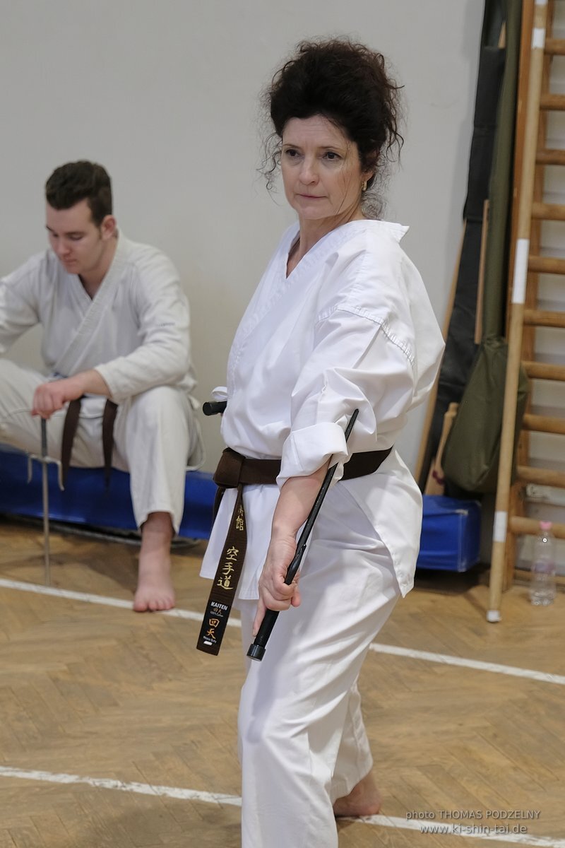 Inklusiver Ryukyu Kobudo Lehrgang mit Thomas Podzelny 6.Dan in Budapest 9.-11.2.2024