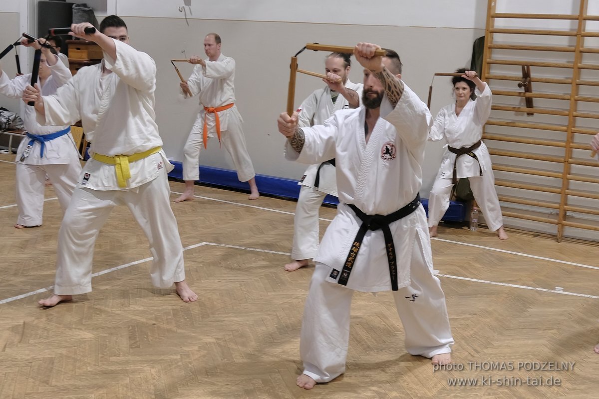 Inklusiver Ryukyu Kobudo Lehrgang mit Thomas Podzelny 6.Dan in Budapest 9.-11.2.2024