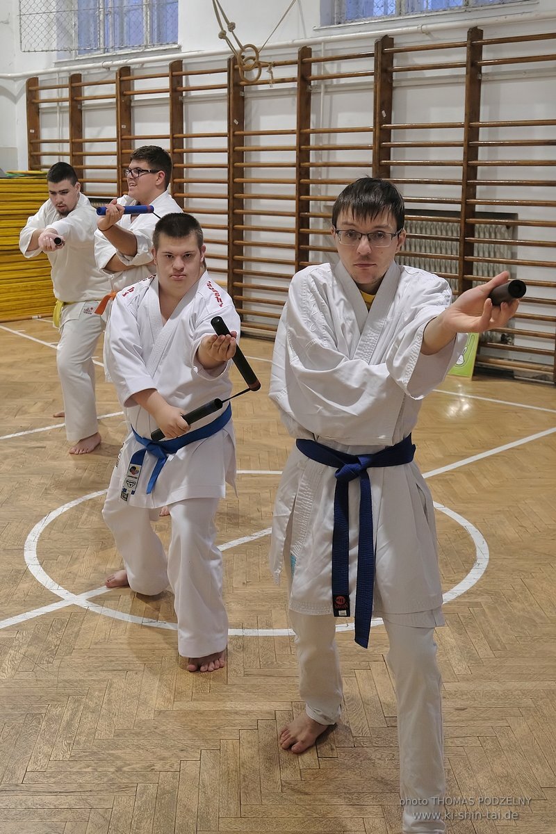 Inklusiver Ryukyu Kobudo Lehrgang mit Thomas Podzelny 6.Dan in Budapest 9.-11.2.2024