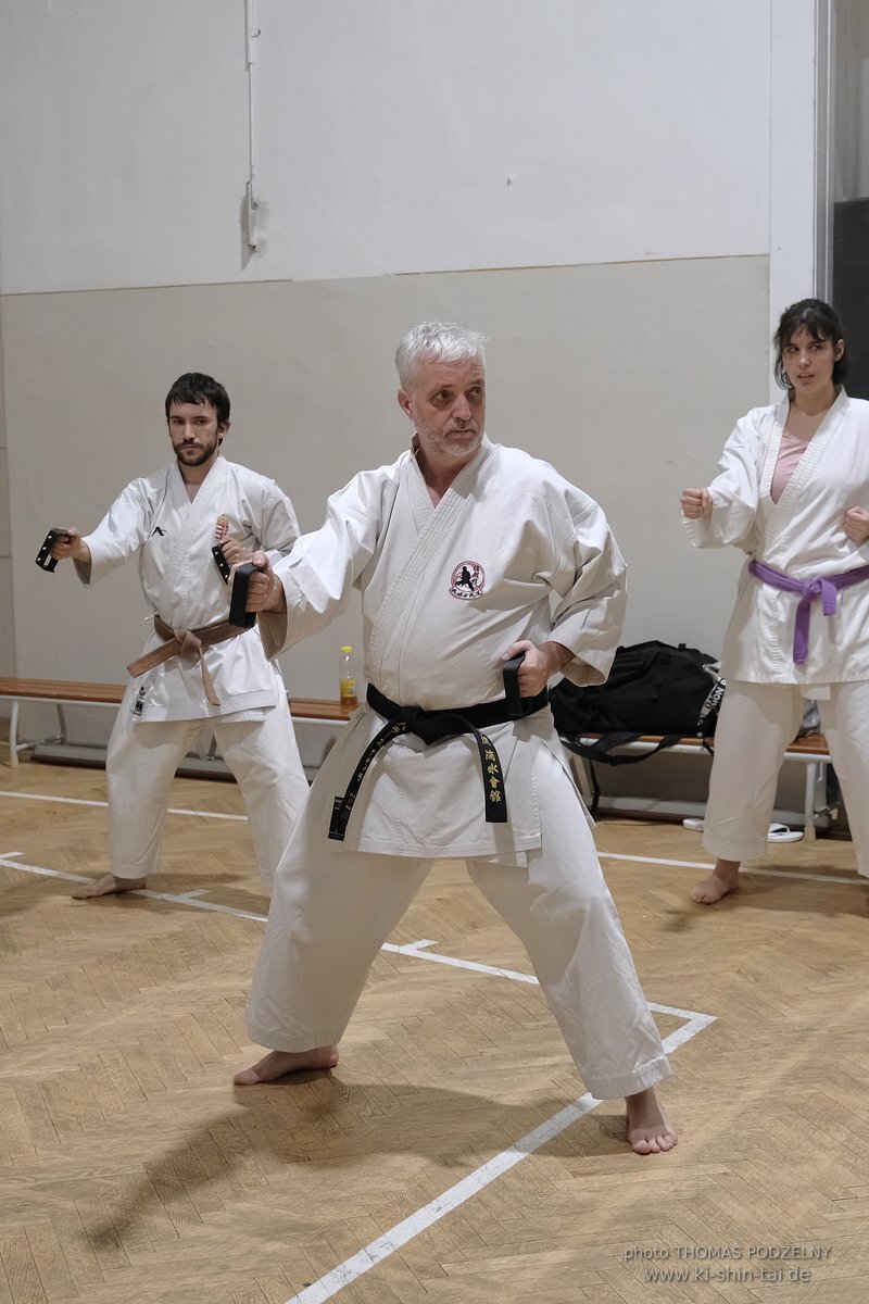 Inklusiver Ryukyu Kobudo Lehrgang mit Thomas Podzelny 6.Dan in Budapest 9.-11.2.2024