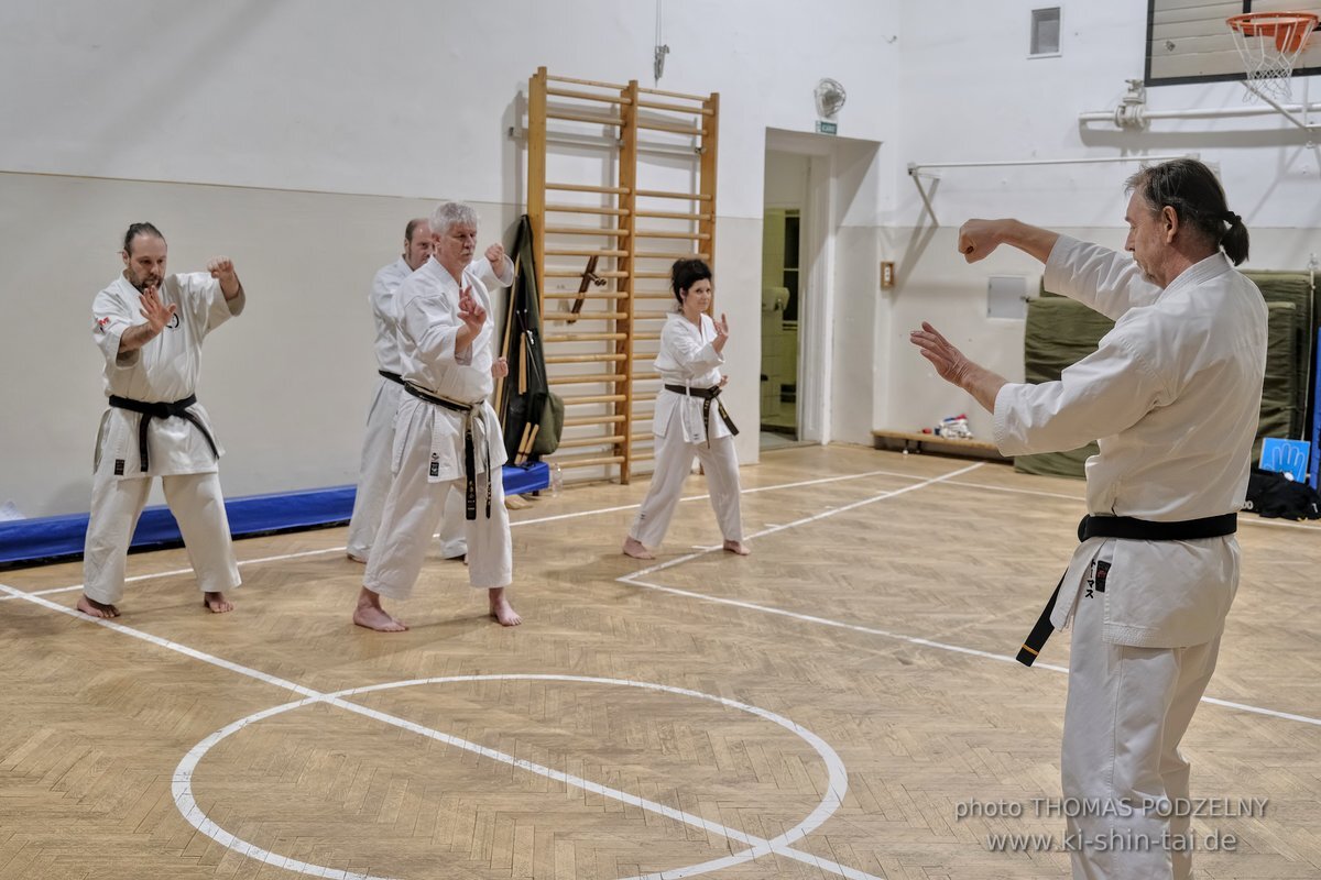 Inklusiver Ryukyu Kobudo Lehrgang mit Thomas Podzelny 6.Dan in Budapest 9.-11.2.2024