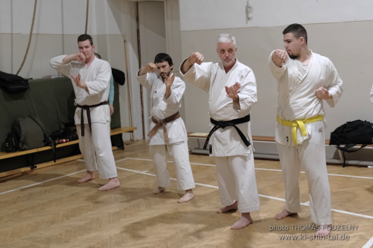 Inklusiver Ryukyu Kobudo Lehrgang mit Thomas Podzelny 6.Dan in Budapest 9.-11.2.2024