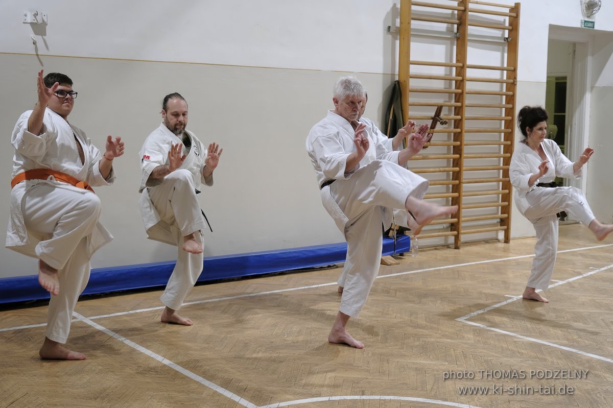 Inklusiver Ryukyu Kobudo Lehrgang mit Thomas Podzelny 6.Dan in Budapest 9.-11.2.2024