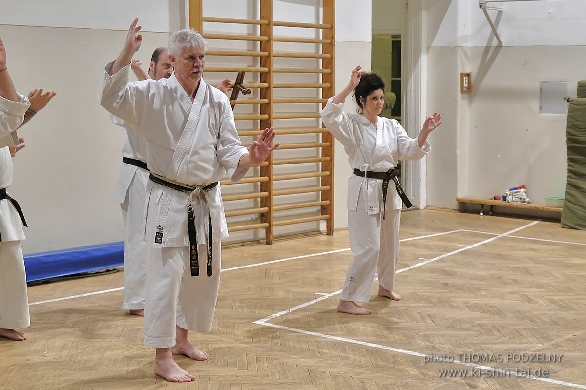 Inklusiver Ryukyu Kobudo Lehrgang mit Thomas Podzelny 6.Dan in Budapest 9.-11.2.2024