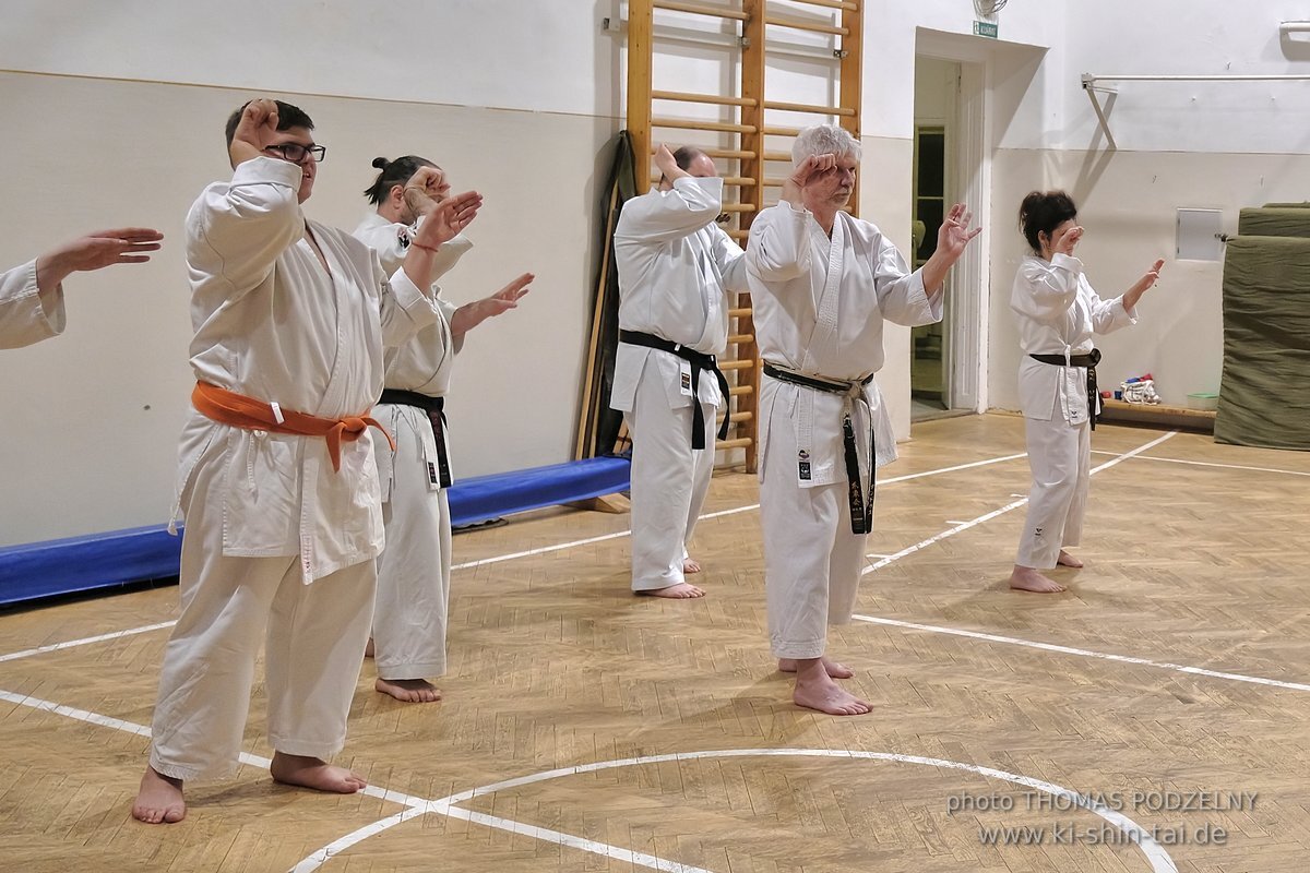 Inklusiver Ryukyu Kobudo Lehrgang mit Thomas Podzelny 6.Dan in Budapest 9.-11.2.2024