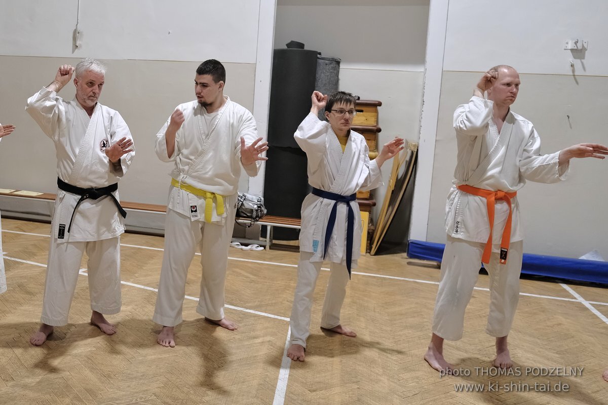 Inklusiver Ryukyu Kobudo Lehrgang mit Thomas Podzelny 6.Dan in Budapest 9.-11.2.2024