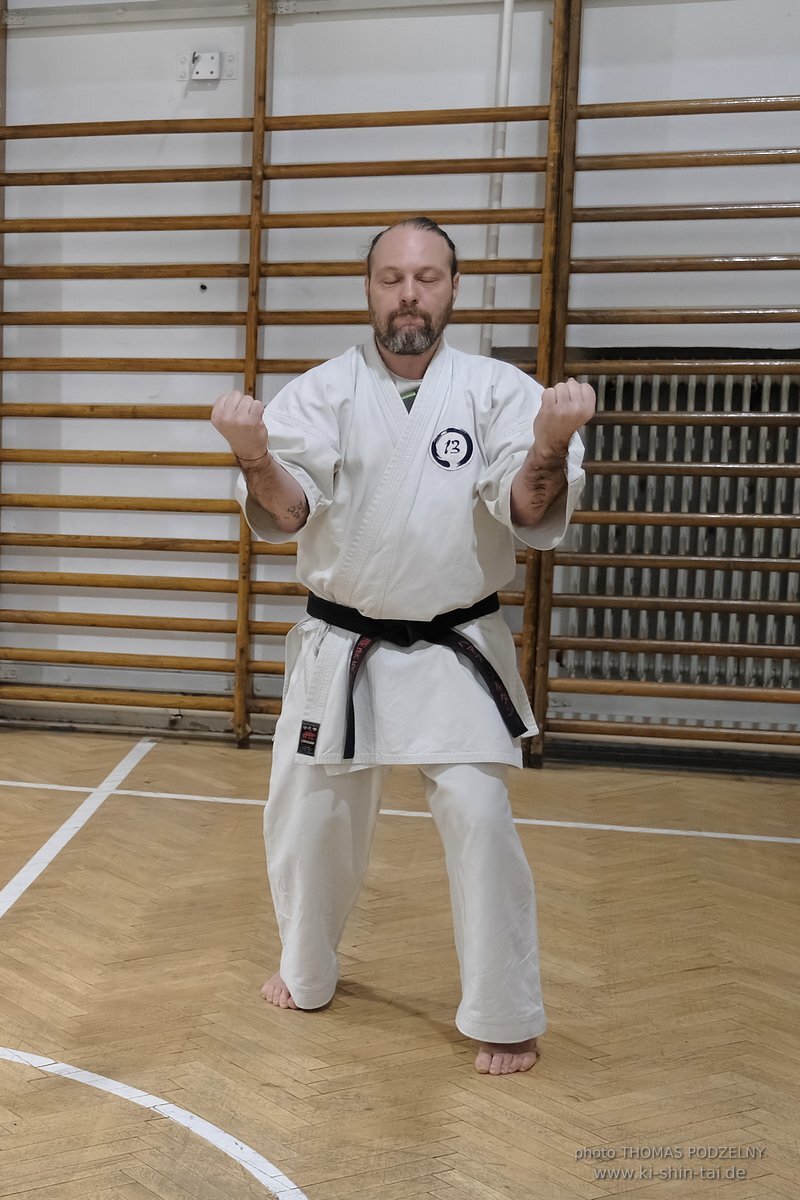 Inklusiver Ryukyu Kobudo Lehrgang mit Thomas Podzelny 6.Dan in Budapest 9.-11.2.2024