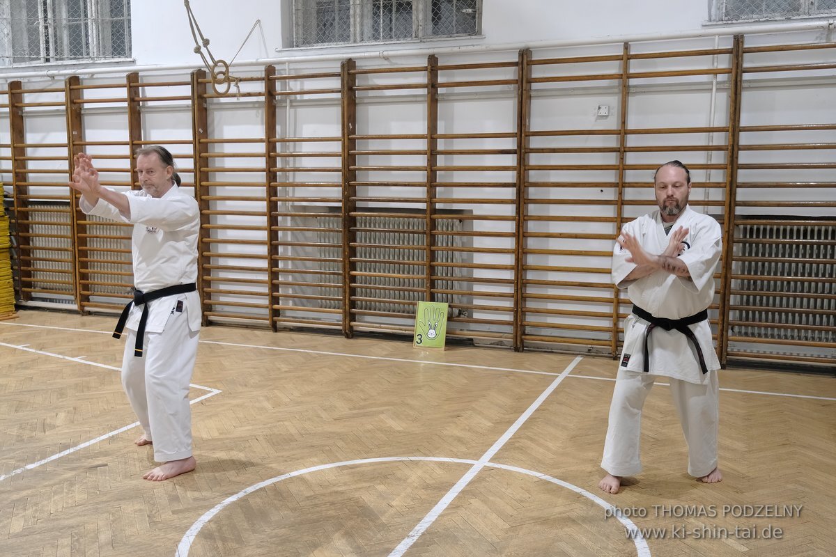 Inklusiver Ryukyu Kobudo Lehrgang mit Thomas Podzelny 6.Dan in Budapest 9.-11.2.2024