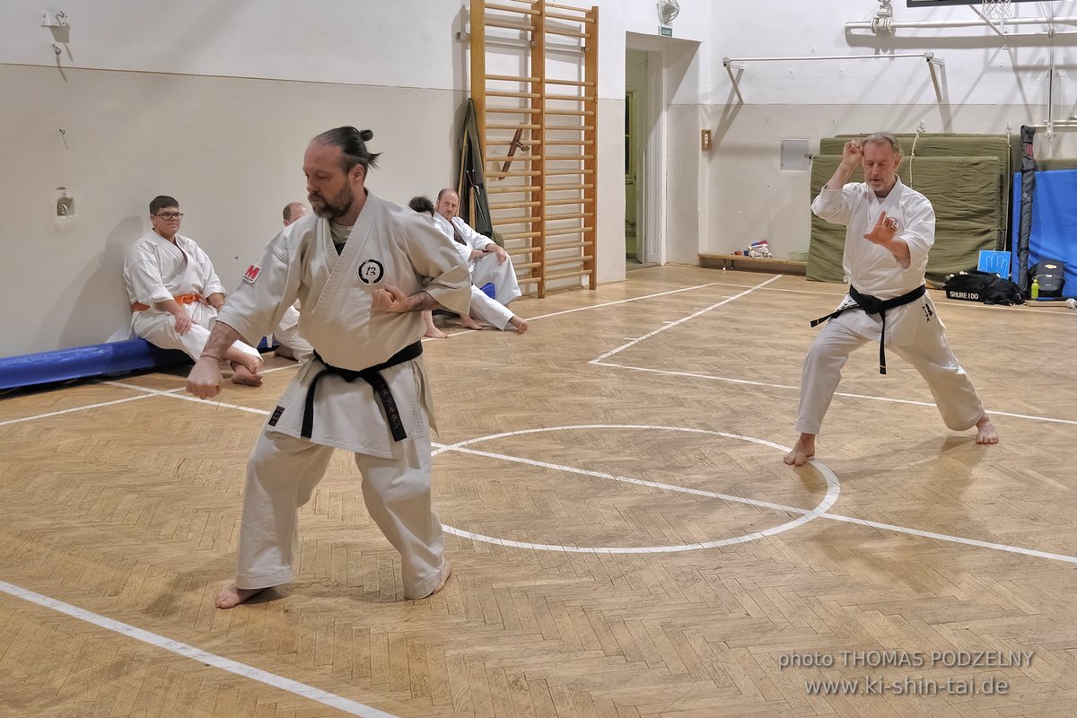 Inklusiver Ryukyu Kobudo Lehrgang mit Thomas Podzelny 6.Dan in Budapest 9.-11.2.2024