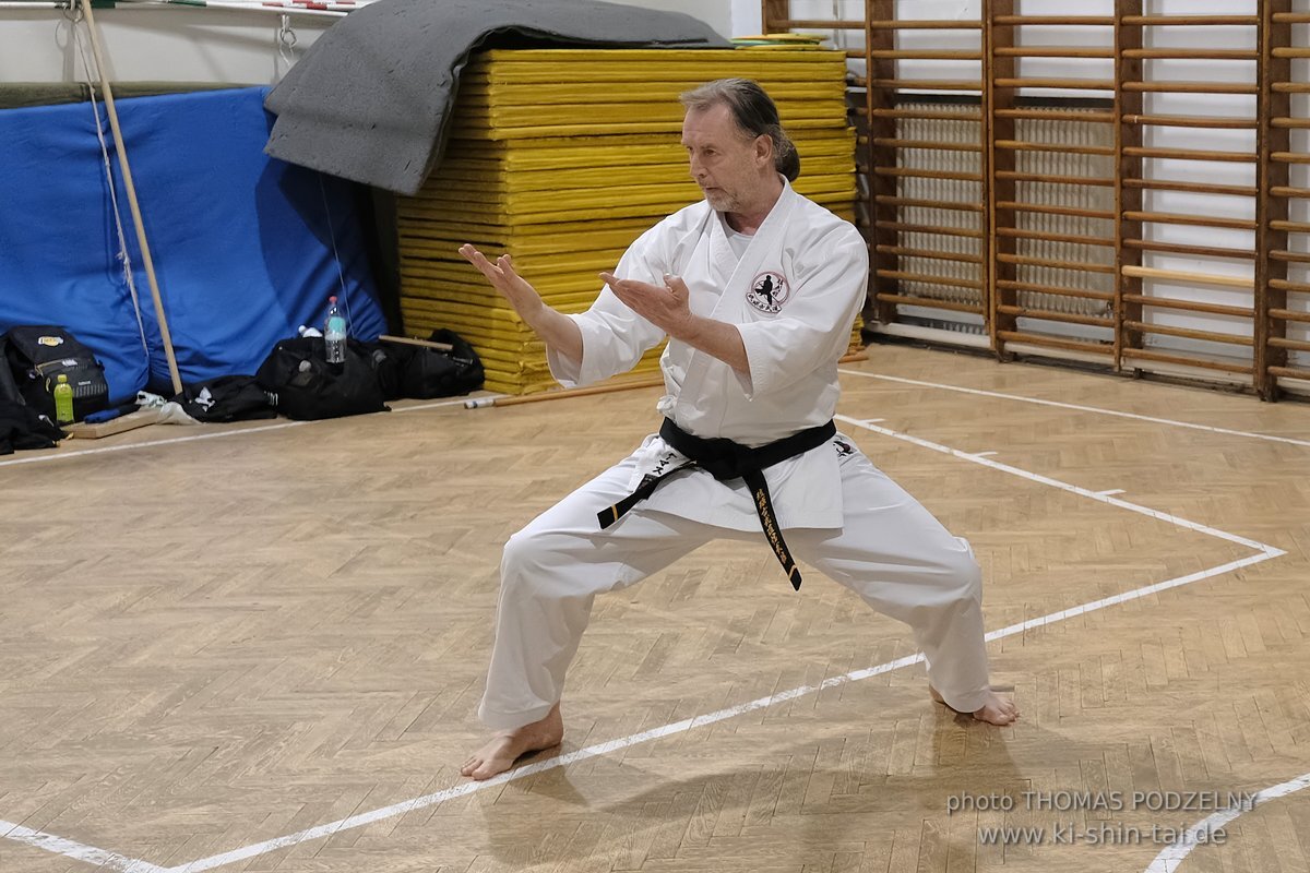 Inklusiver Ryukyu Kobudo Lehrgang mit Thomas Podzelny 6.Dan in Budapest 9.-11.2.2024